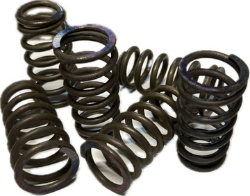 Sprężyny zaworowe om606 605 604 Valve spring CDI 