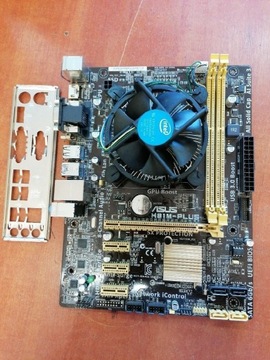 Asus H81M-plus płyta główna 