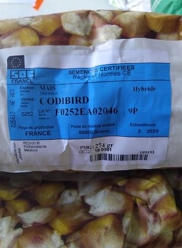 Kukurydza CODIBRID FA250 