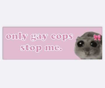 Magnes only gay cops stop me