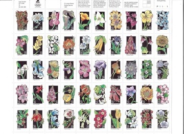 U.S.A. arkusz kwiatów - 50 zn. 1992, czysty