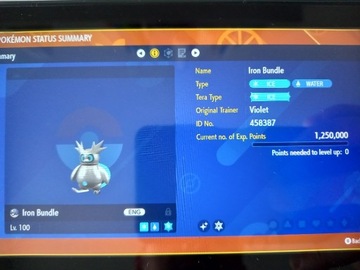 Shiny Paradox Pokemon Iron Bundle + Item