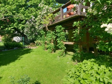 Dom w pięknym ogrodzie w centrum Rzeszowa