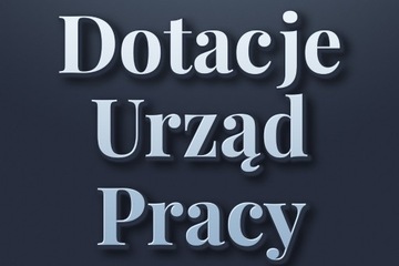 Dotacja Urząd Pracy, Biznes plan do Urzędu Pracy