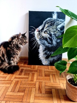 Obraz na płótnie 40x60cm, kot mainecoon 