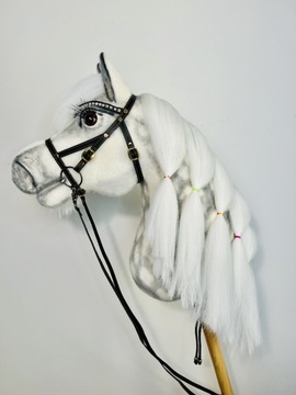 Hobby horse Atlantyk