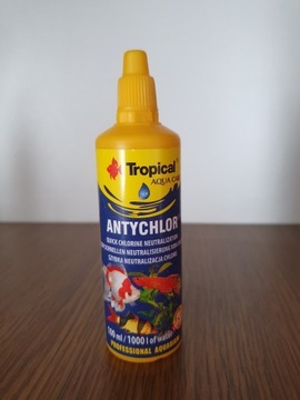 ANTYCHLOR Tropical