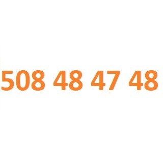 508 48 47 48 starter orange złoty numer #L 