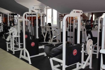 Lifefitness maszyny siłowe zestaw 15sztuk