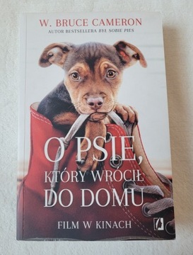 O psie, który wrócił do domu - W. Bruce Cameron