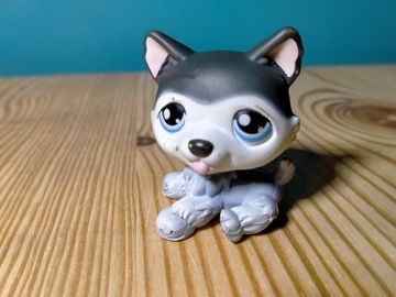 Hasbro Littlest Pet Shop pies husky #427