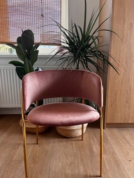 Różowe welurowe krzesło ze złotymi elementami