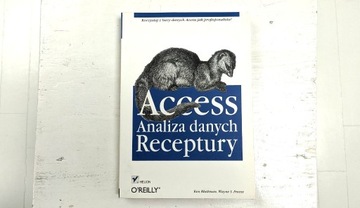 Access. Analiza Danych. Receptury. 2008