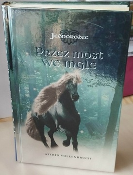 Jednorożec 1 Przez most we mgle