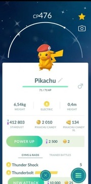 Pokemon go Shiny Pikachu Rei Cap Trade 30 days