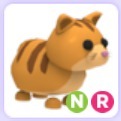 Roblox Adopt me NR Ginger Cat