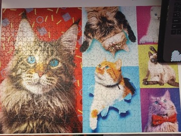puzzle trefl wesołe kotki 1000