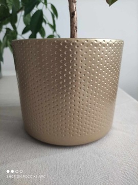 Osłonki ceramiczne 15cm - Złote - 3 szt.