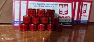 Obrączki dla gołębi pocztowych Polska 2022r.