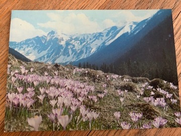 Karta pocztowa  Wiosna w Tatrach 