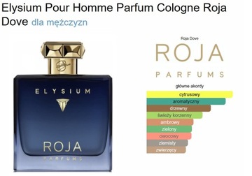 Roja Elysium Pour Homme Parfum Cologne odlewka per