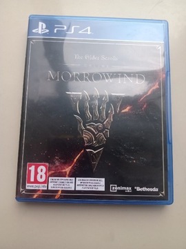 Morrowind PlayStation 4 