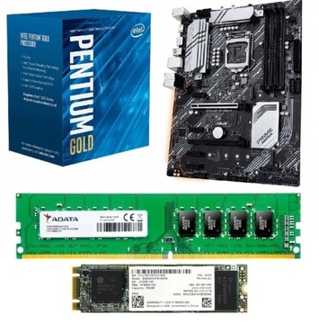 Koparka Mining Płyta Asus Z490 Intel G6400 8GB SSD