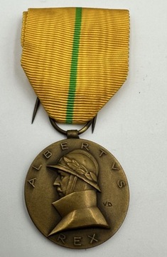 Medal belgijski  Belgia Albertus Rex 1909-1934