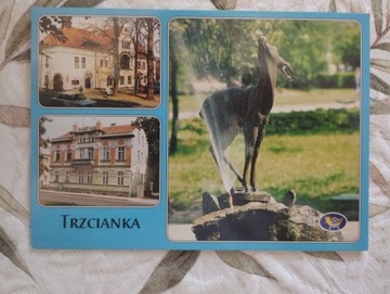 Trzcianka niezapisana