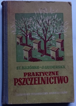 Praktyczne pszczelnictwo