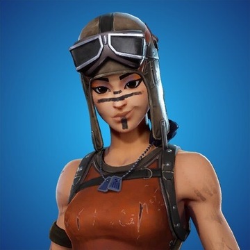 Kod Renegade Raider