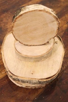 Drewniany krążek / plaster drewna / brzoza 10cm.