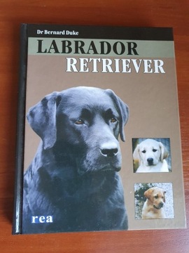 Labrador retriever dr B.Duke - nowa