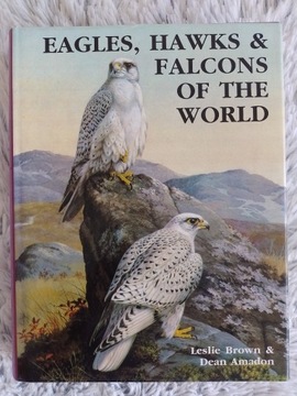 Eagles, Hawks and Falcons of the World, Brown, Leslie, Wellfleet
