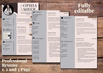 Edytowalny szablon CV w jęz. angielskim (CV+LM)