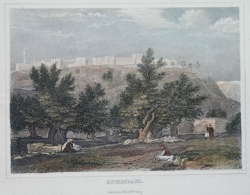 1840 ORYGINAŁ PALESTYNA JEROZOLIMA ogród GETSEMANI