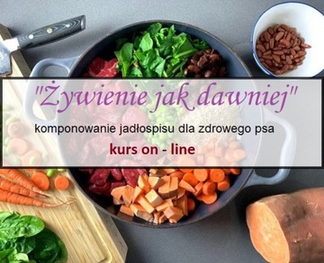 Szkolenie on - line "Jadłospis dla zdrowego psa"