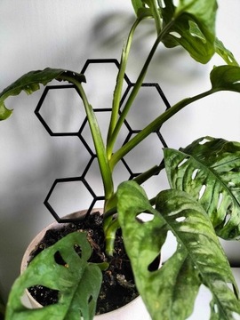 Podpora do roślin plaster miodu  26 x 15 cm