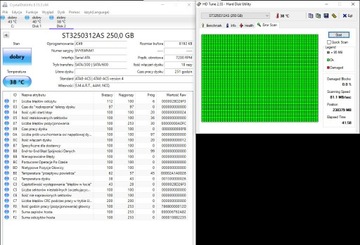 Dysk twardy Seagate ST3250312AS 250 GB SATA III