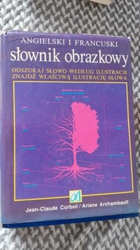 Słownik obrazkowy angielski i francuski