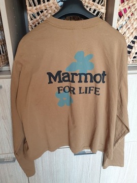 Marmot mountain works koszulka