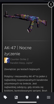 Skin CS2 AK-47 | Nocne życzenie