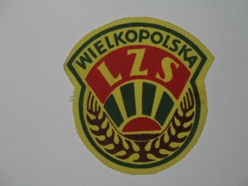 Wielkopolska LZS