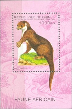Gwinea - Zwierzęta futerkowe (zestaw 6245)