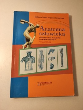 Anatomia człowieka podręcznik i atlas 