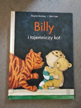 Billy i tajemniczy kot