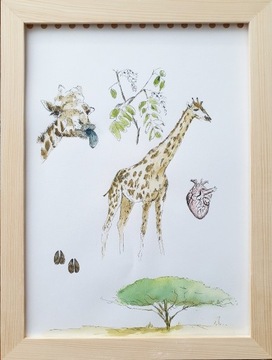 Obraz ręcznie malowany akwarela żyrafa + rama