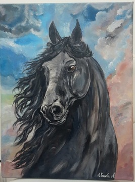 Obraz koń fryz akryl na płótnie "wicher" 30x40 