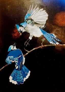 Obraz akrylowy Blue Jay
