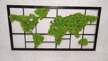Obraz mapa świata (żywy obraz)- mech chrobotek 77x